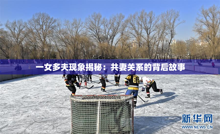 一女多夫现象揭秘：共妻关系的背后故事