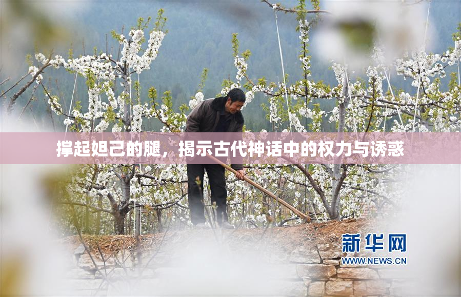 撑起妲己的腿，揭示古代神话中的权力与诱惑