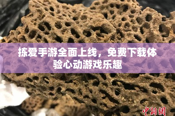 拣爱手游全面上线，免费下载体验心动游戏乐趣