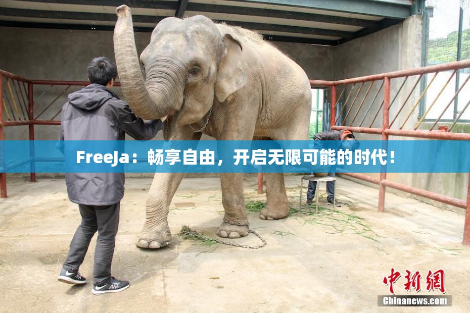 FreeJa：畅享自由，开启无限可能的时代！