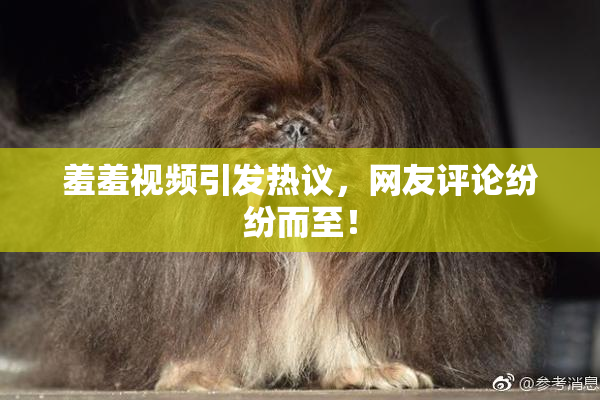 羞羞视频引发热议，网友评论纷纷而至！
