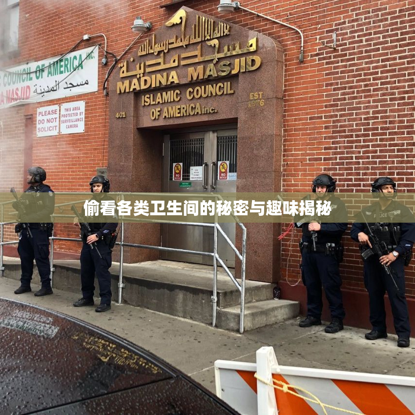 偷看各类卫生间的秘密与趣味揭秘