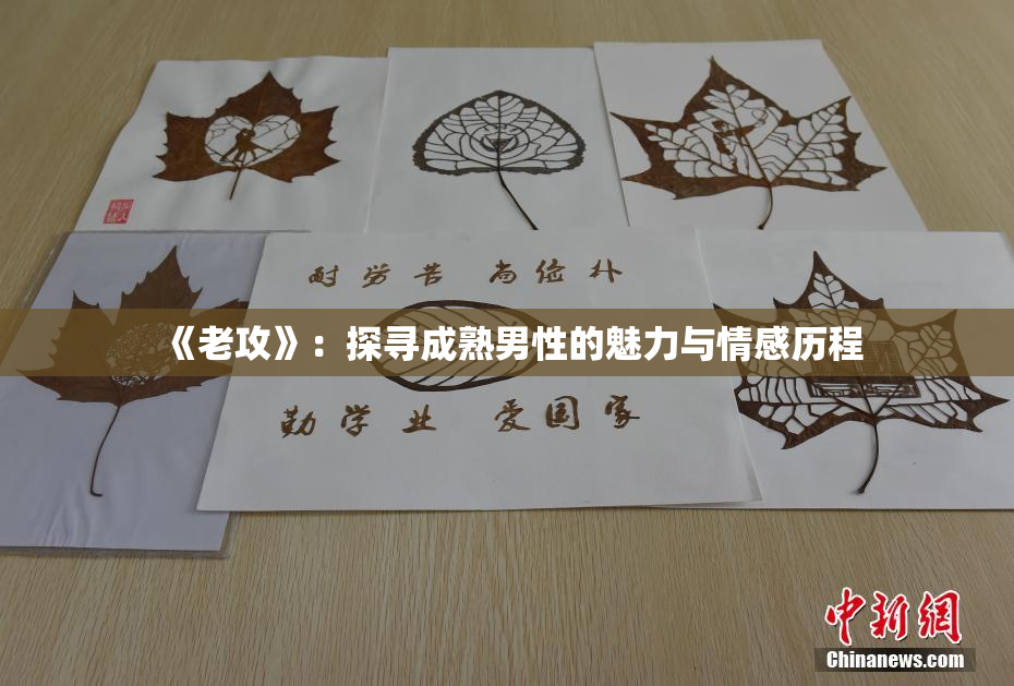 《老攻》：探寻成熟男性的魅力与情感历程