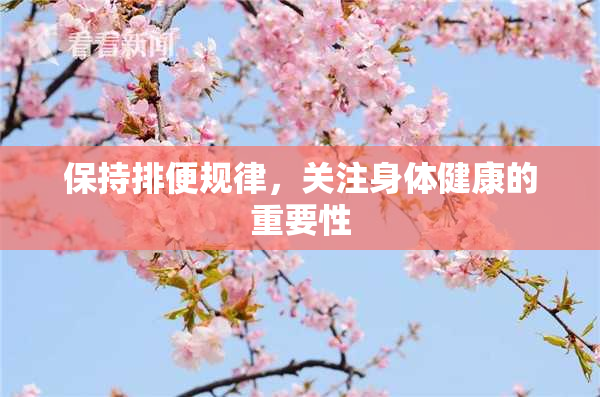 保持排便规律，关注身体健康的重要性
