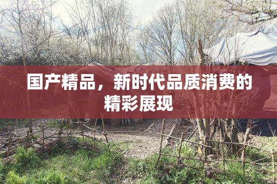 国产精品，新时代品质消费的精彩展现