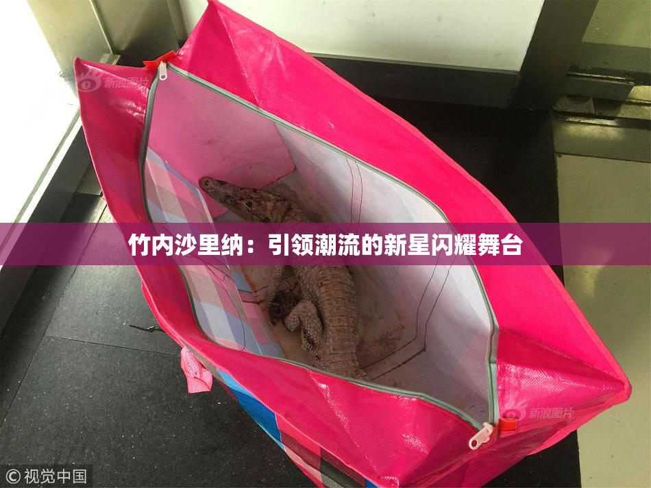 竹内沙里纳：引领潮流的新星闪耀舞台