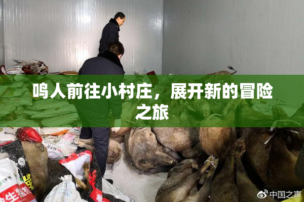 鸣人前往小村庄，展开新的冒险之旅