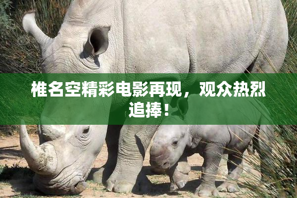 椎名空精彩电影再现，观众热烈追捧！