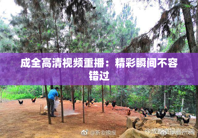 成全高清视频重播：精彩瞬间不容错过