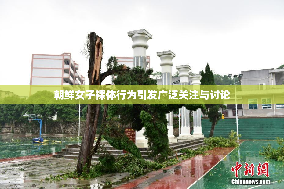 朝鲜女子裸体行为引发广泛关注与讨论