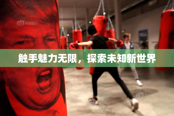 触手魅力无限，探索未知新世界