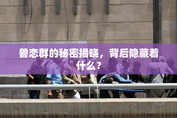 兽恋群的秘密揭晓，背后隐藏着什么？