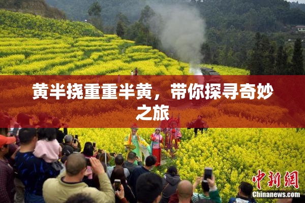 黄半挠重重半黄，带你探寻奇妙之旅
