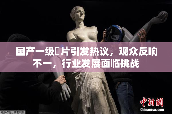 国产一级婬片引发热议，观众反响不一，行业发展面临挑战