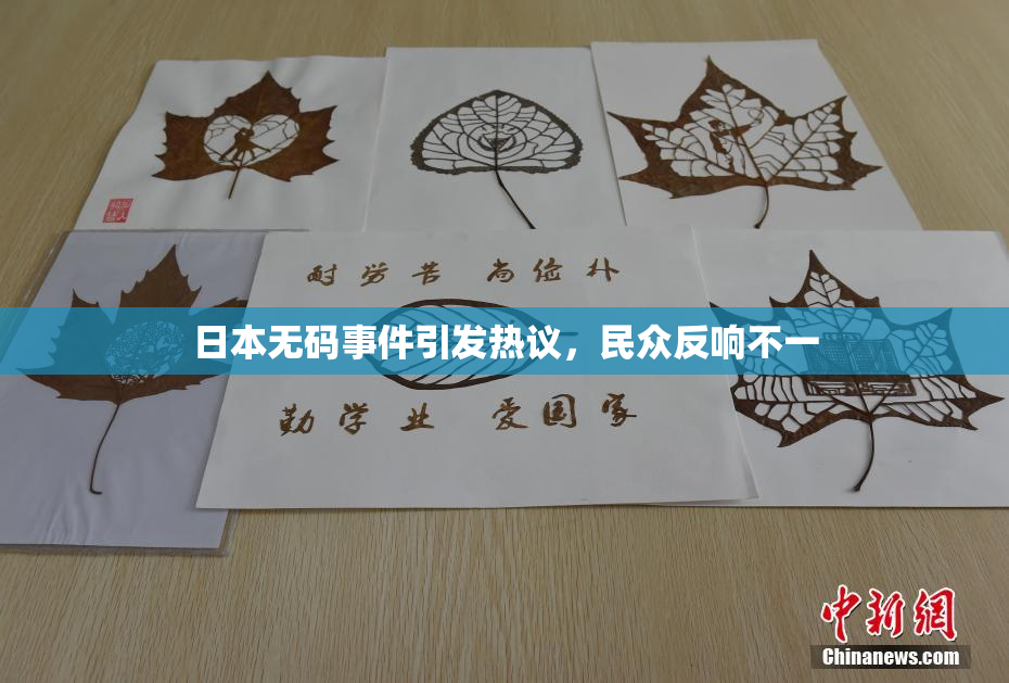 日本无码事件引发热议，民众反响不一