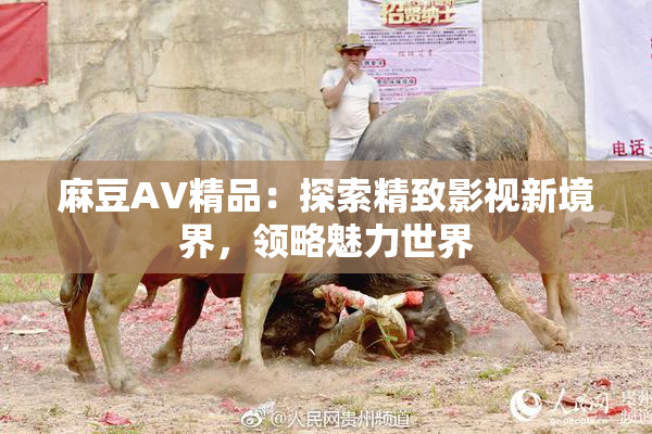 麻豆AV精品：探索精致影视新境界，领略魅力世界