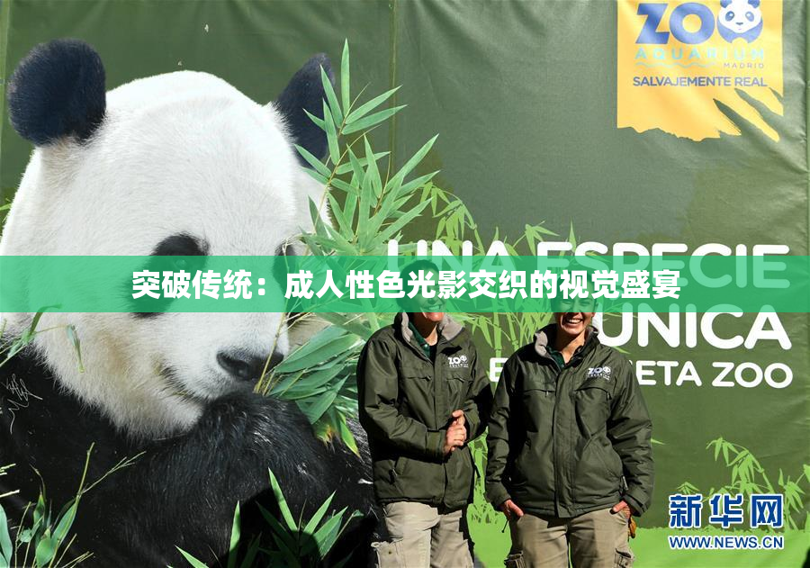 突破传统：成人性色光影交织的视觉盛宴