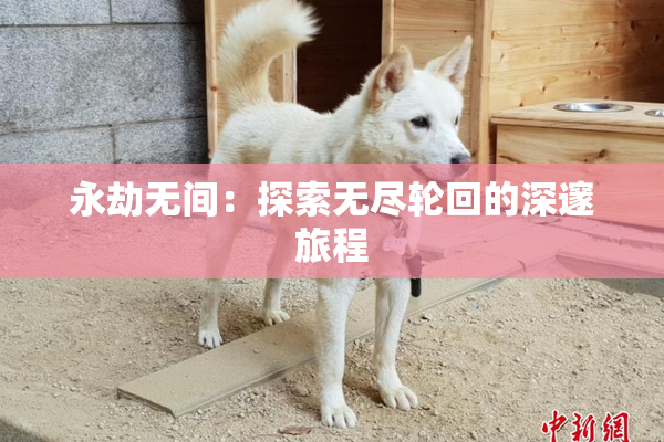 永劫无间：探索无尽轮回的深邃旅程