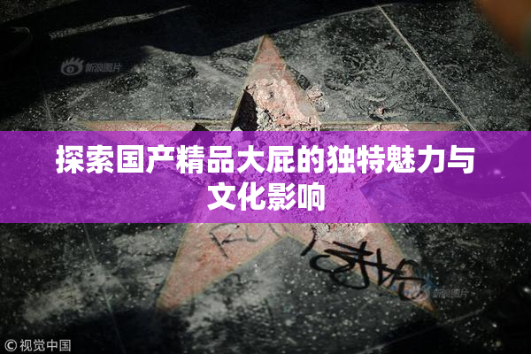 探索国产精品大屁的独特魅力与文化影响