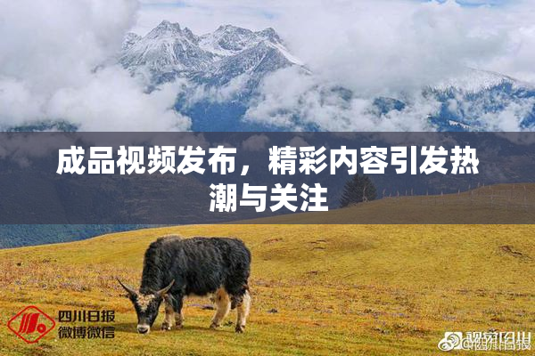 成品视频发布，精彩内容引发热潮与关注