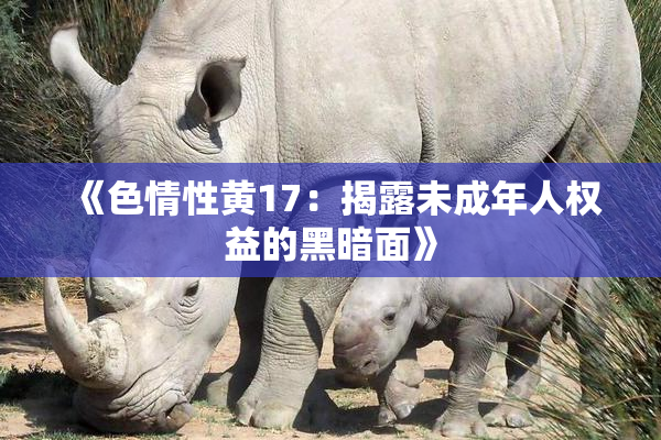 《色情性黄17：揭露未成年人权益的黑暗面》