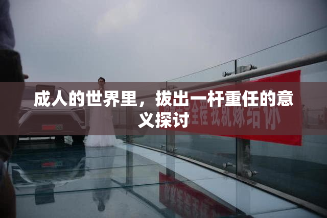 成人的世界里，拔出一杆重任的意义探讨