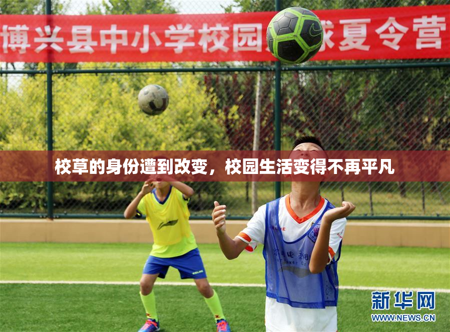 校草的身份遭到改变，校园生活变得不再平凡