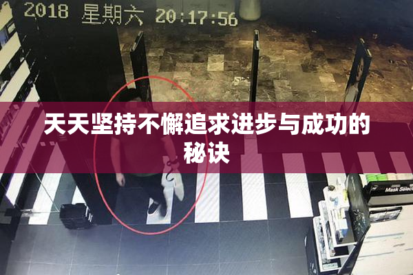 天天坚持不懈追求进步与成功的秘诀