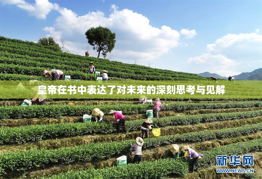 皇帝在书中表达了对未来的深刻思考与见解