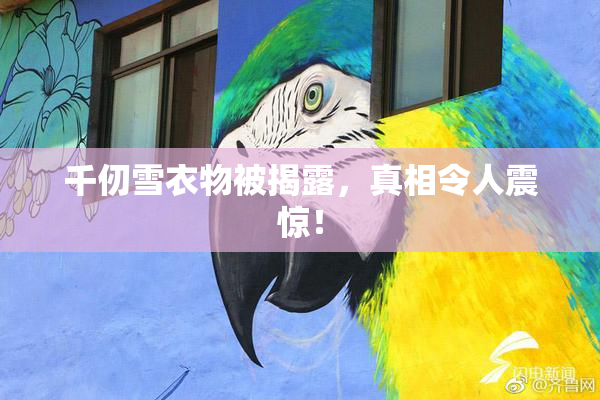千仞雪衣物被揭露，真相令人震惊！