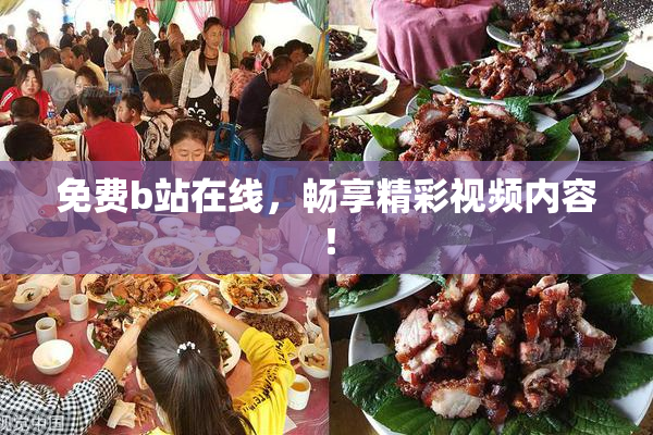 免费b站在线，畅享精彩视频内容！