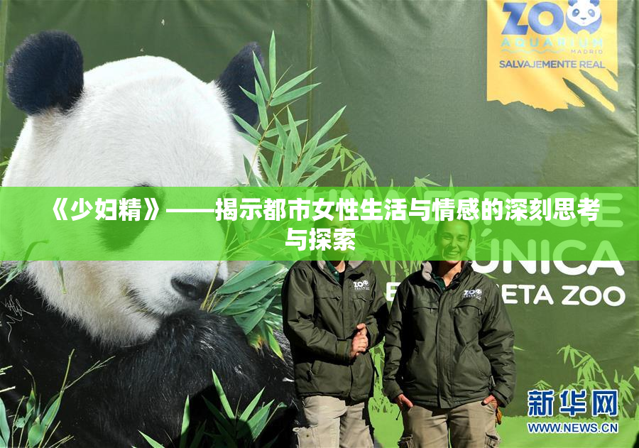《少妇精》——揭示都市女性生活与情感的深刻思考与探索