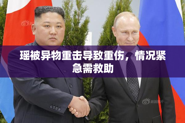 瑶被异物重击导致重伤，情况紧急需救助