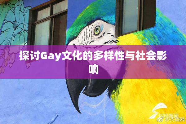 探讨Gay文化的多样性与社会影响