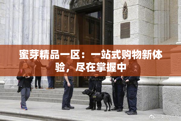 蜜芽精品一区：一站式购物新体验，尽在掌握中
