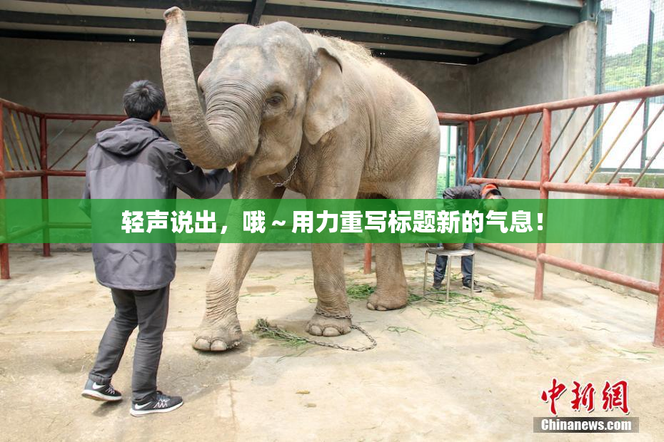 轻声说出，哦～用力重写标题新的气息！