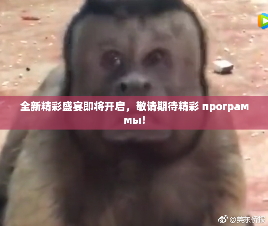 全新精彩盛宴即将开启，敬请期待精彩 программы!
