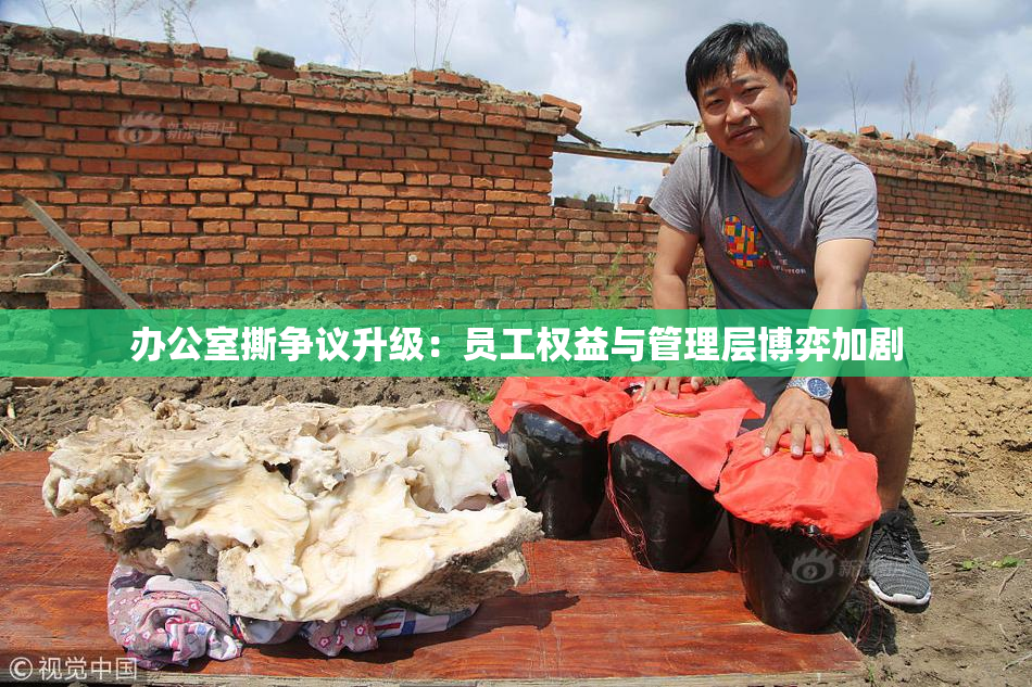 办公室撕争议升级：员工权益与管理层博弈加剧