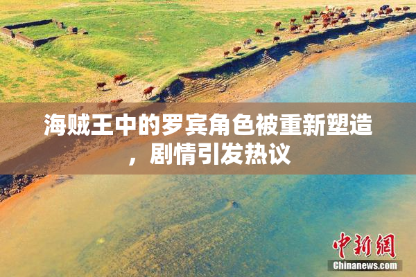 海贼王中的罗宾角色被重新塑造，剧情引发热议