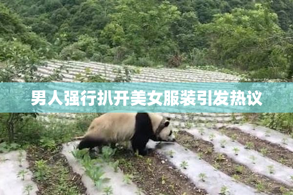 男人强行扒开美女服装引发热议