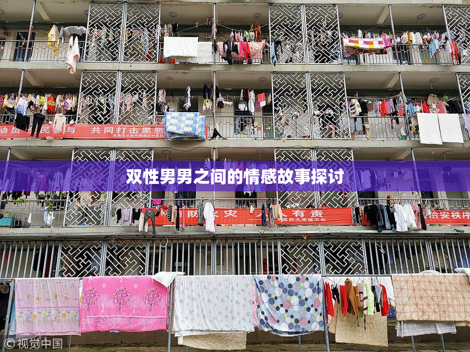 双性男男之间的情感故事探讨