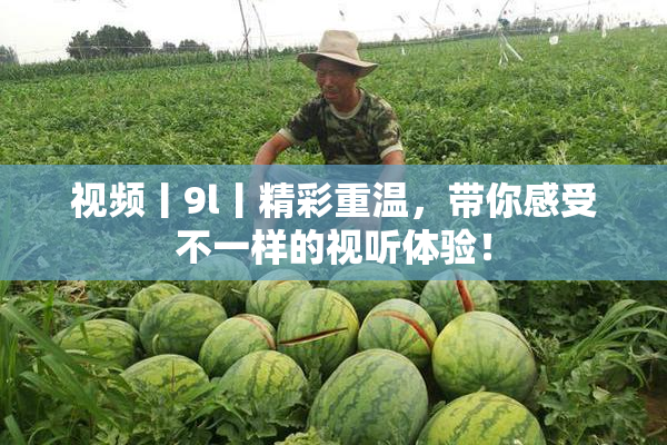 视频丨9l丨精彩重温，带你感受不一样的视听体验！