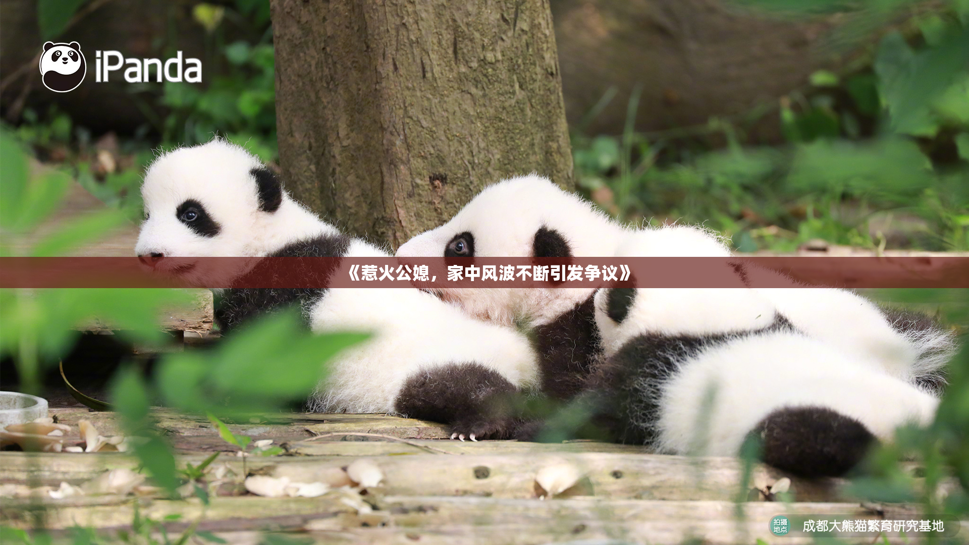 《惹火公媳，家中风波不断引发争议》