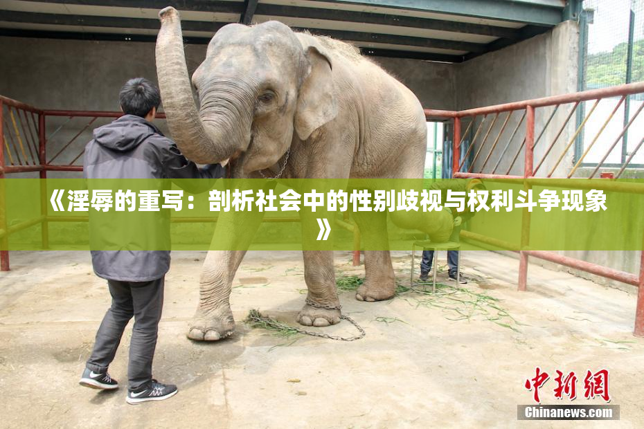 《淫辱的重写：剖析社会中的性别歧视与权利斗争现象》