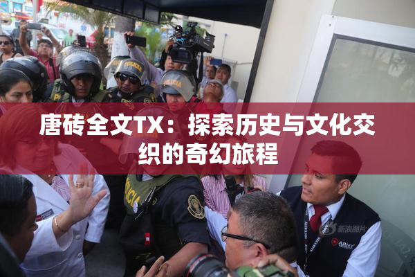 唐砖全文TX：探索历史与文化交织的奇幻旅程