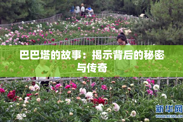 巴巴塔的故事：揭示背后的秘密与传奇