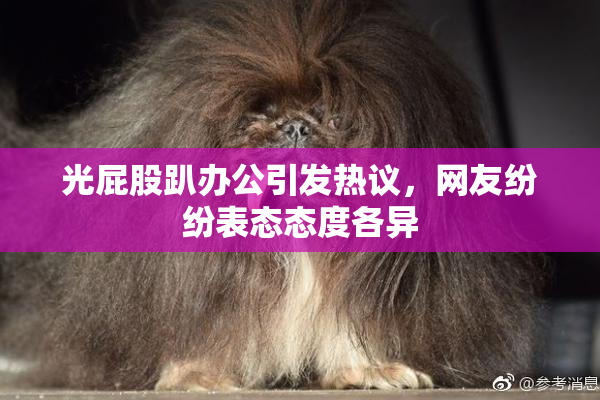 光屁股趴办公引发热议，网友纷纷表态态度各异