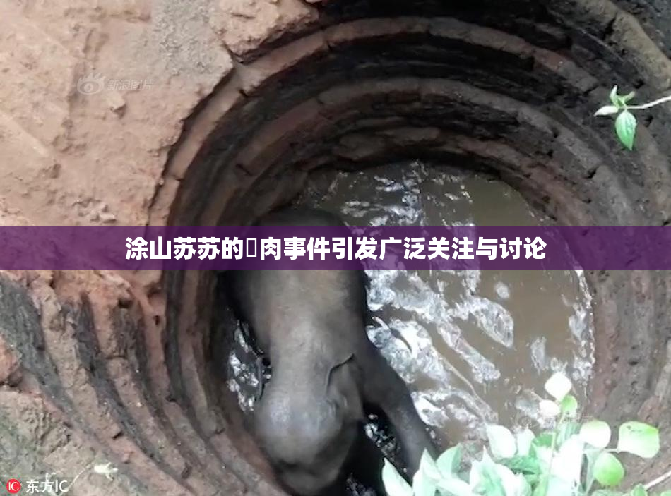 涂山苏苏的婬肉事件引发广泛关注与讨论