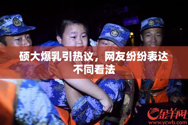 硕大爆乳引热议，网友纷纷表达不同看法