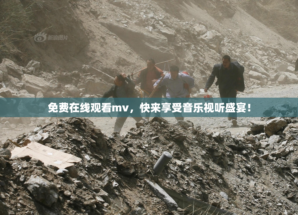 免费在线观看mv，快来享受音乐视听盛宴！